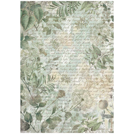 Rice Paper A4 - Herbarium Silvae - 6 - pack - 7 - Stamperia - Tidformera