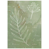 Rice Paper A6 - 8-pack - Backgrounds - Flowers and Poems - 4 - Stamperia - Tidformera