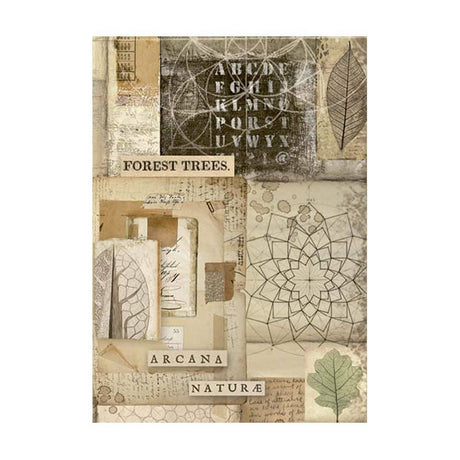 Rice Paper A6 - Forest - 8 - pack - 5 - Stamperia - Tidformera