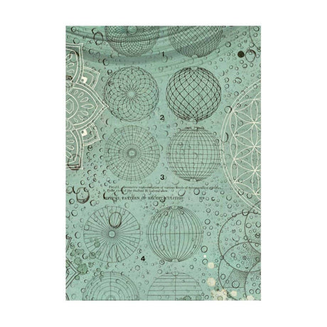 Rice Paper A6 - Forest - 8 - pack - 6 - Stamperia - Tidformera