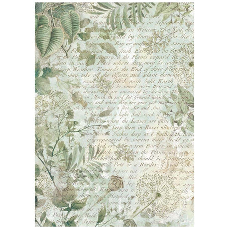 Rice Paper A6 - Herbarium Silvae - Backgrounds - 8 - pack - 6 - Stamperia - Tidformera