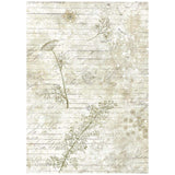 Rice Paper A6 - Herbarium Silvae - Backgrounds - 8 - pack - 4 - Stamperia - Tidformera