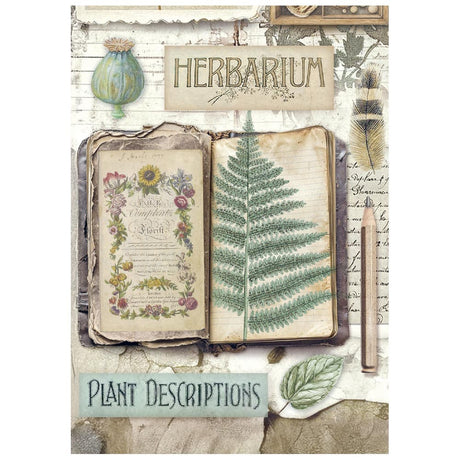 Rice Paper A6 - Herbarium Silvae - Mini - 8 - pack - 6 - Stamperia - Tidformera