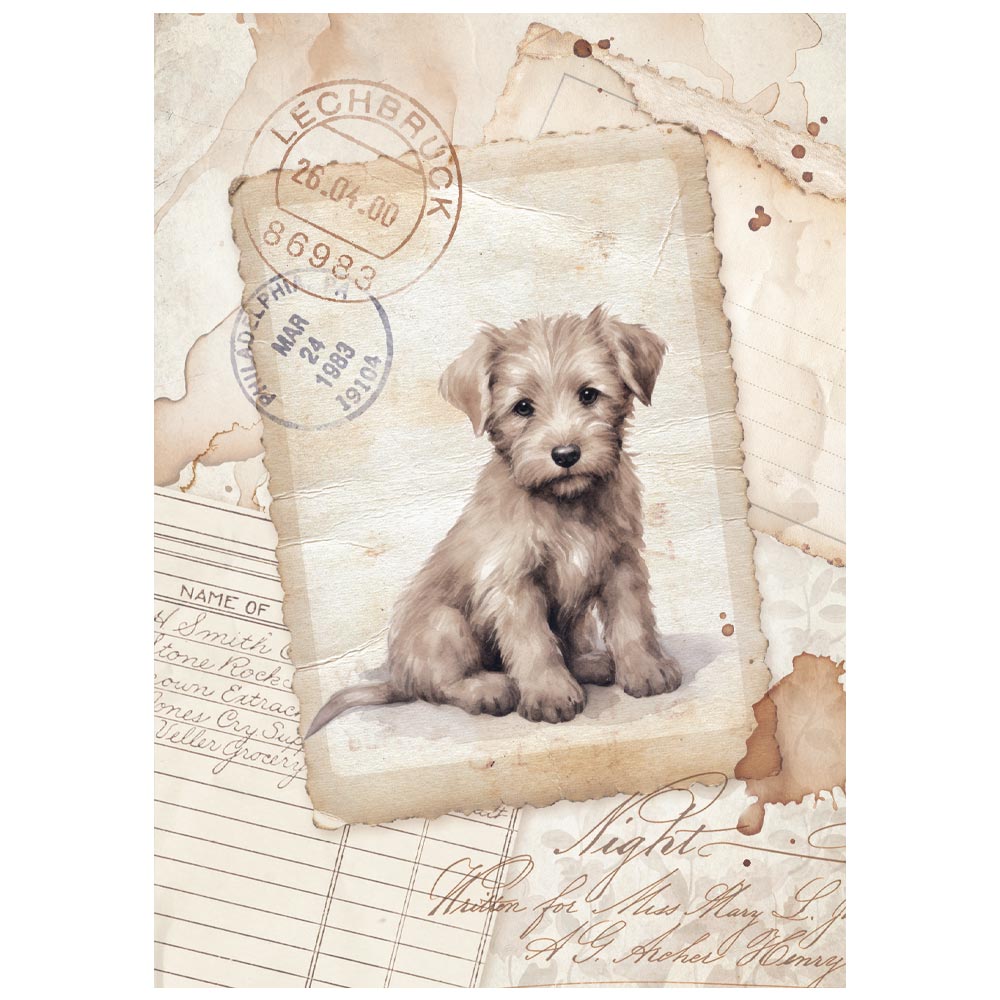 Rice Paper A6 - Quiet Days - Mini - 8 - pack - 7 - Stamperia - Tidformera