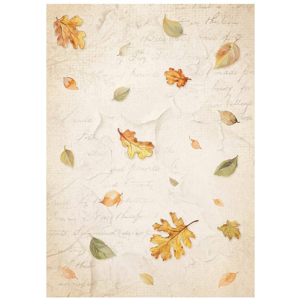 Rice Paper A6 - Whispering Woods - 8 - pack - 6 - Stamperia - Tidformera