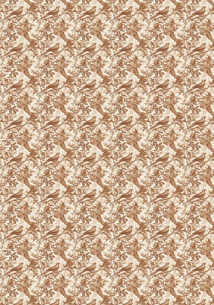 Rice Paper Art set - A5 - 8 - pack - Book Lovers - 9 - Ciao Bella - Tidformera