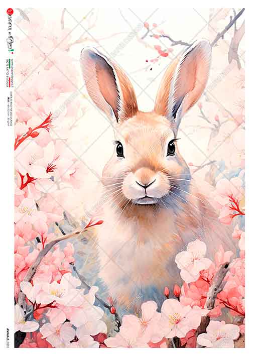 Rice Paper Decoupage - A5 - Animals 0231 - Paper Designs - Tidformera