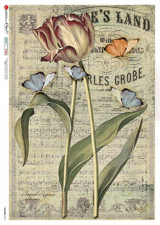 Rice Paper Decoupage - A5 - Flowers 0357 - 1 - Paper Designs - Tidformera