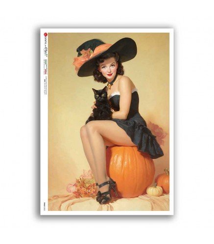 Rice Paper Decoupage - A5 - PINUP 0055 - 1 - Paper Designs - Tidformera