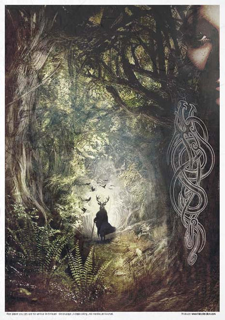 Rice paper set - A4 - An Undiscovered Magical World - 3 - ITD Collection - Tidformera