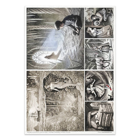 Rice paper set - A4 - Lost in a fairy tale - 11 - ITD Collection - Tidformera