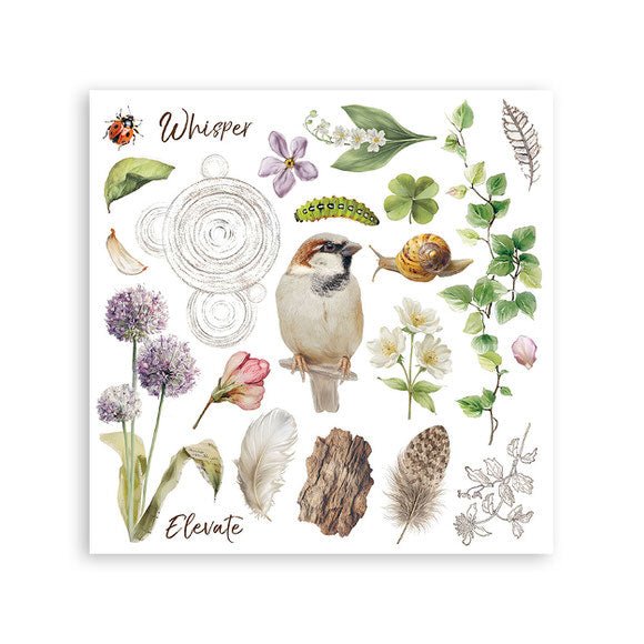 Rub - On Kit 15,5 x 15,5 cm - All Around - 6 - Stamperia - Tidformera