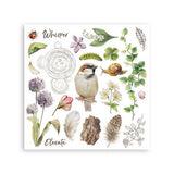 Rub - On Kit 15,5 x 15,5 cm - All Around - 6 - Stamperia - Tidformera
