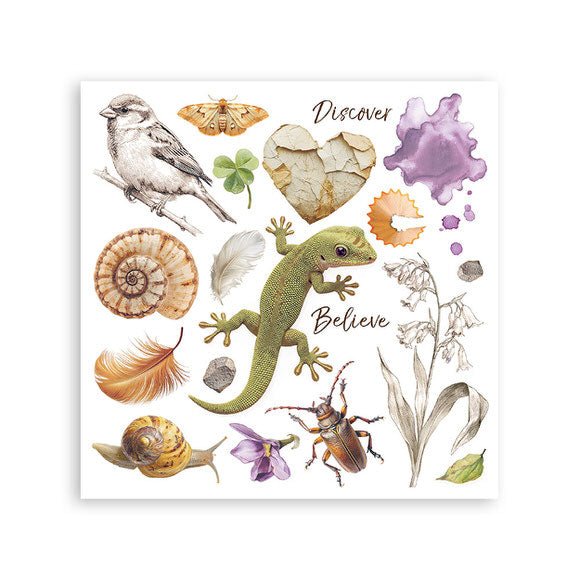Rub - On Kit 15,5 x 15,5 cm - All Around - 2 - Stamperia - Tidformera