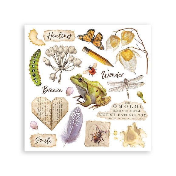 Rub - On Kit 15,5 x 15,5 cm - All Around - 4 - Stamperia - Tidformera