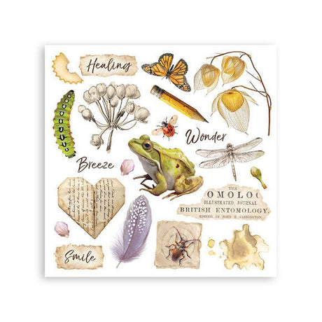 Rub - On Kit 15,5 x 15,5 cm - All Around - 4 - Stamperia - Tidformera
