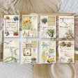 Scrap Paper 7,4 x 10,5 - Scent of Summer - 1 - Plan & Plot Studio - Tidformera