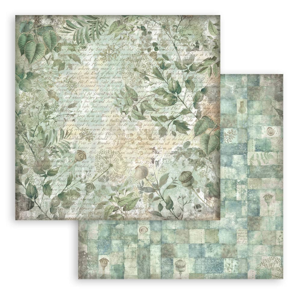 Scrapbookingpapper - Backgrounds - Herbarium Silvae - 6 - Stamperia - Tidformera