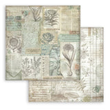 Scrapbookingpapper - Backgrounds - Herbarium Silvae - 4 - Stamperia - Tidformera