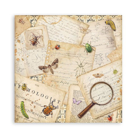 Scrapbookingpapper - Double faced - All Around - 14 - Stamperia - Tidformera