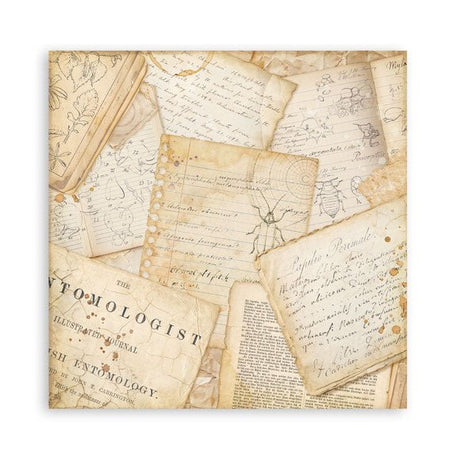 Scrapbookingpapper - Double faced - All Around - 15 - Stamperia - Tidformera