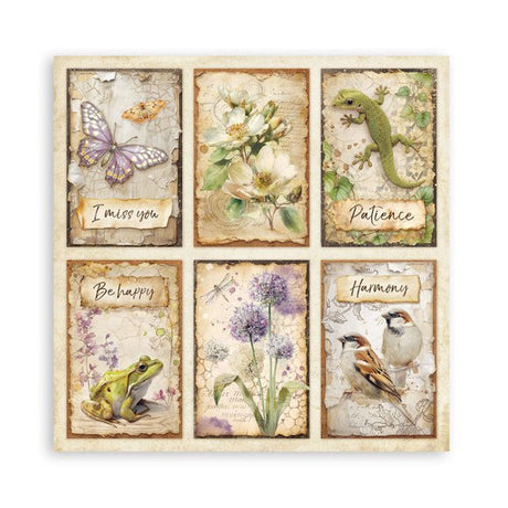 Scrapbookingpapper - Double faced - All Around - 32 - Stamperia - Tidformera