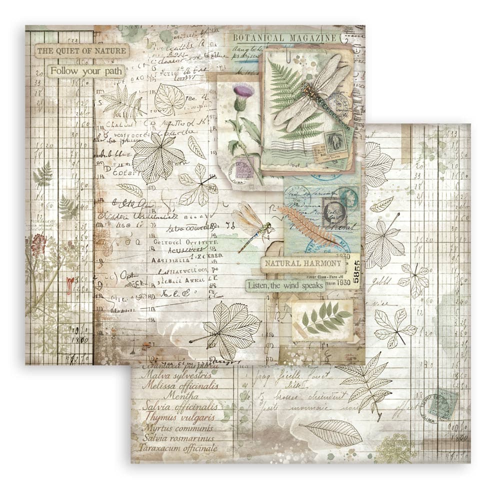 Scrapbookingpapper - Herbarium Silvae - Double faced - 3 - Stamperia - Tidformera