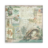 Scrapbookingpapper - Herbarium Silvae - Maxi Pad - 4 - Stamperia - Tidformera