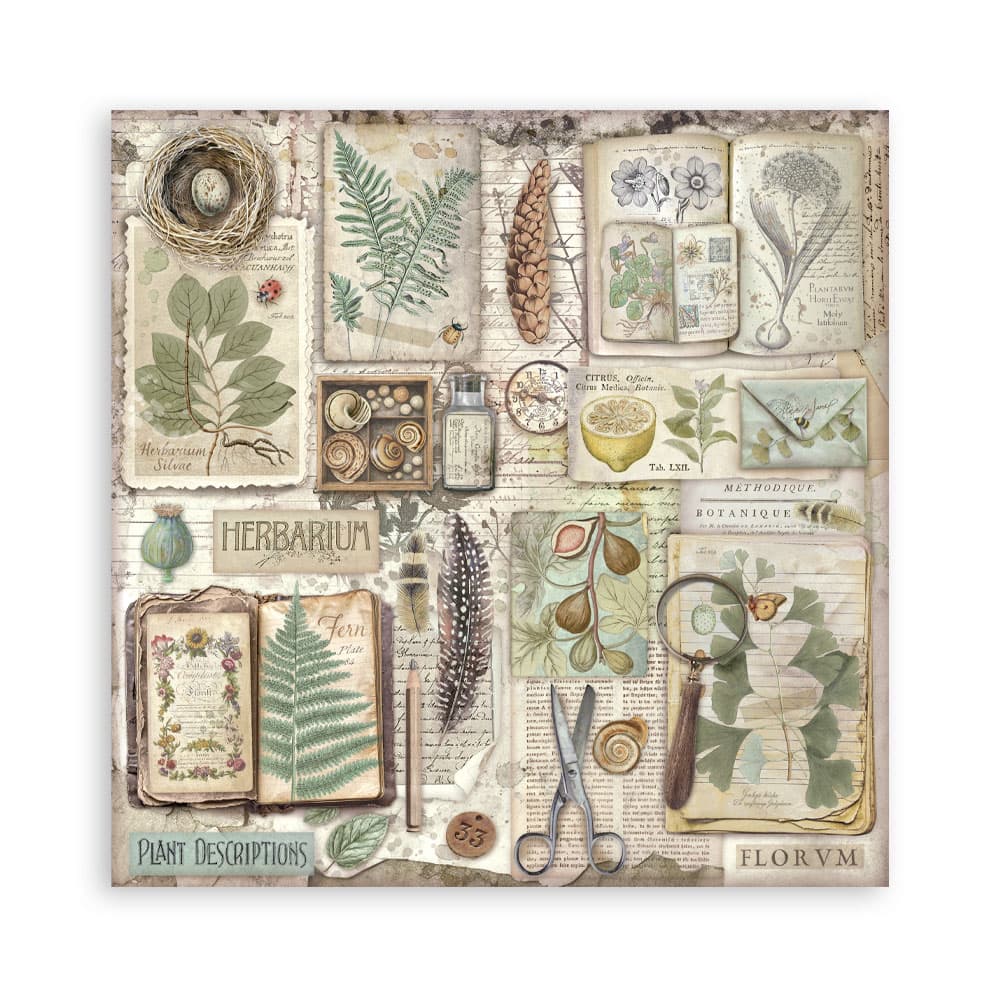 Scrapbookingpapper - Herbarium Silvae - Maxi Pad - 5 - Stamperia - Tidformera