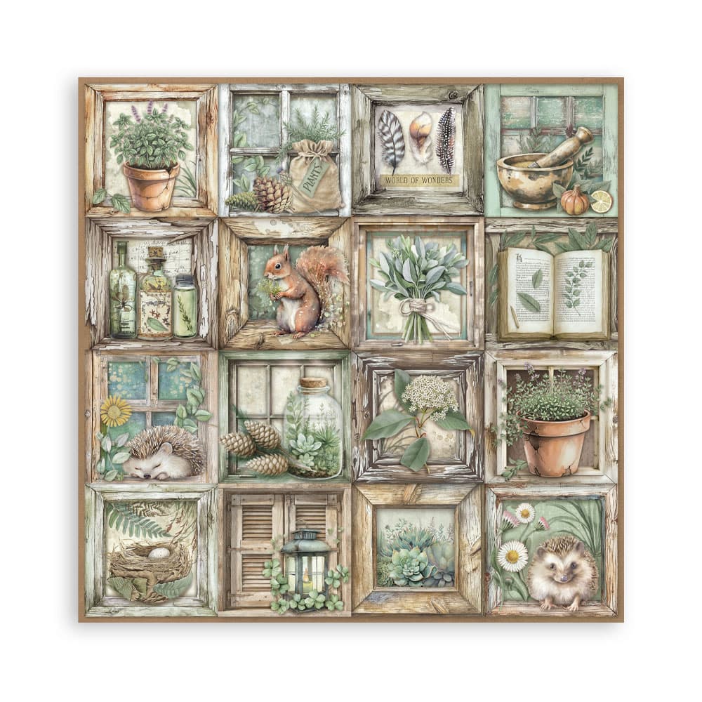 Scrapbookingpapper - Herbarium Silvae - Maxi Pad - 19 - Stamperia - Tidformera