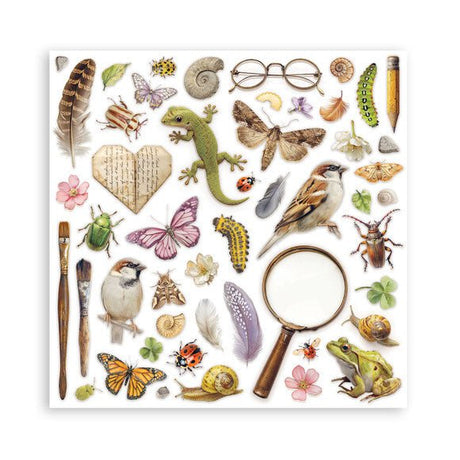 Scrapbookingpapper - Maxi Pad - All Around - 23 - Stamperia - Tidformera