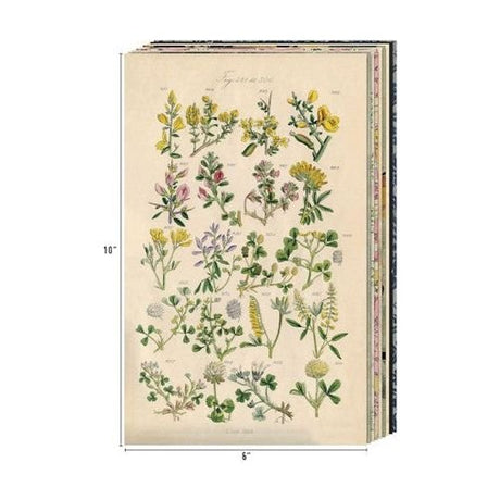 Scrapbookingpapper - Tim Holtz Backdrops Volume 3 - 4 - Tim Holtz - Tidformera