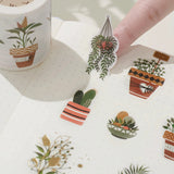 Sticker Set Washi Tape - Green Oasis - 3 - pack - Washi Tape Shop - Tidformera