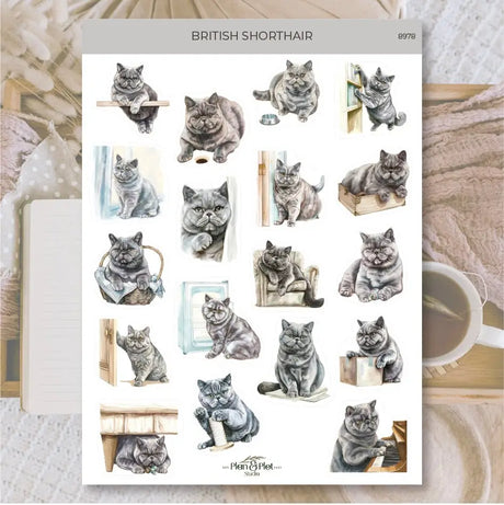 Stickers Plan & Plot Studio Vinyl - British shorthair - 1 - Plan & Plot Studio - Tidformera