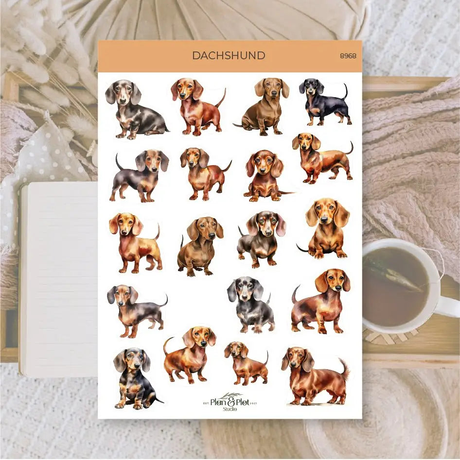 Stickers Plan & Plot Studio Vinyl - Dachshund | Tidformera