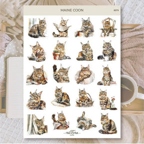 Stickers Plan & Plot Studio Vinyl - Maine coon - 1 - Plan & Plot Studio - Tidformera