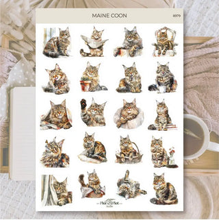 Stickers Plan & Plot Studio Vinyl - Maine coon - 1 - Plan & Plot Studio - Tidformera