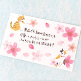 Stickers Sakura - Sakura Cat - 2 - Mind Wave - Tidformera