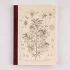 Tomitaro Makino: Hobonichi Graph Notebook (A5) - Yamazakura - 2027 - 1 - Hobonichi Techo - Tidformera