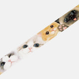 Washi Tape Cat face - 3 - BGM - Tidformera