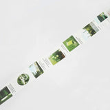 Washi tape Color city - Green - BGM - Tidformera