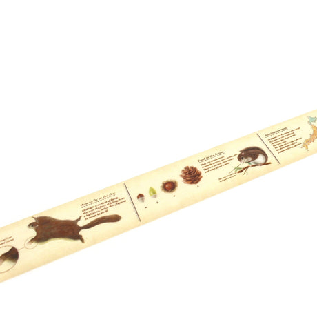 Washi Tape Encyclopedia - Flying squirrel - MT masking tape - Tidformera