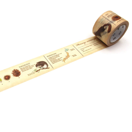 Washi Tape Encyclopedia - Flying squirrel - MT masking tape - Tidformera