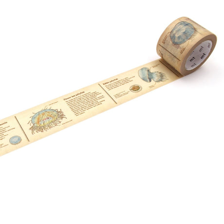 Washi Tape Encyclopedia - Jellyfish - 1 - MT masking tape - Tidformera