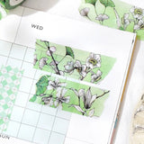 Washi tape Margin - Green - BGM - Tidformera