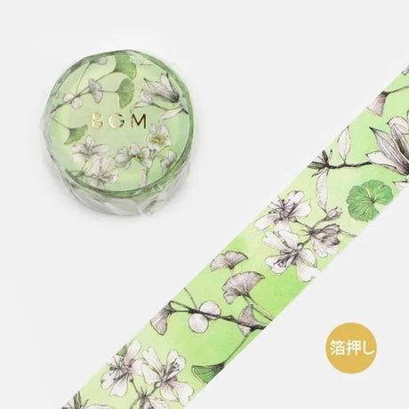 Washi tape Margin - Green - BGM - Tidformera