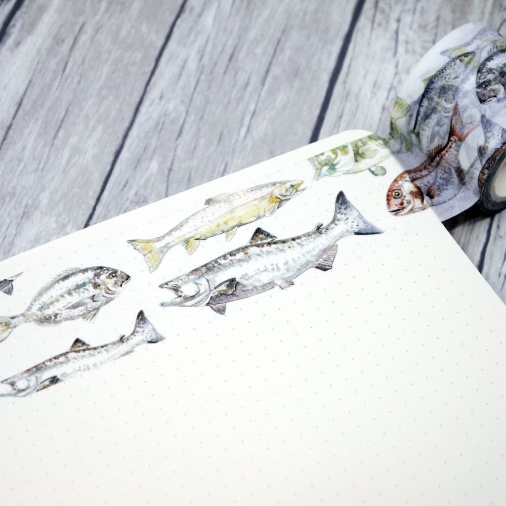 Washi tape Renke - Colored fishes 40 mm - Alexandra Renke - Tidformera